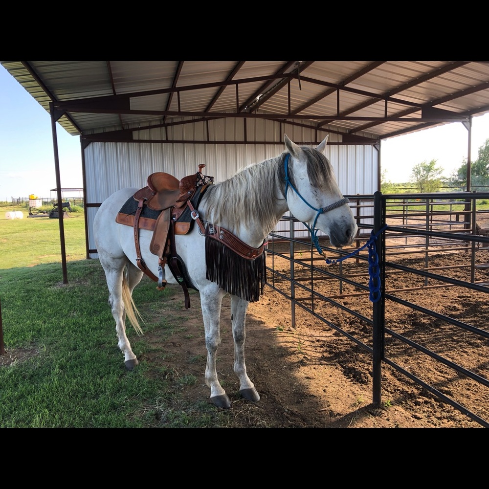 Meet your Posher, Marilyn